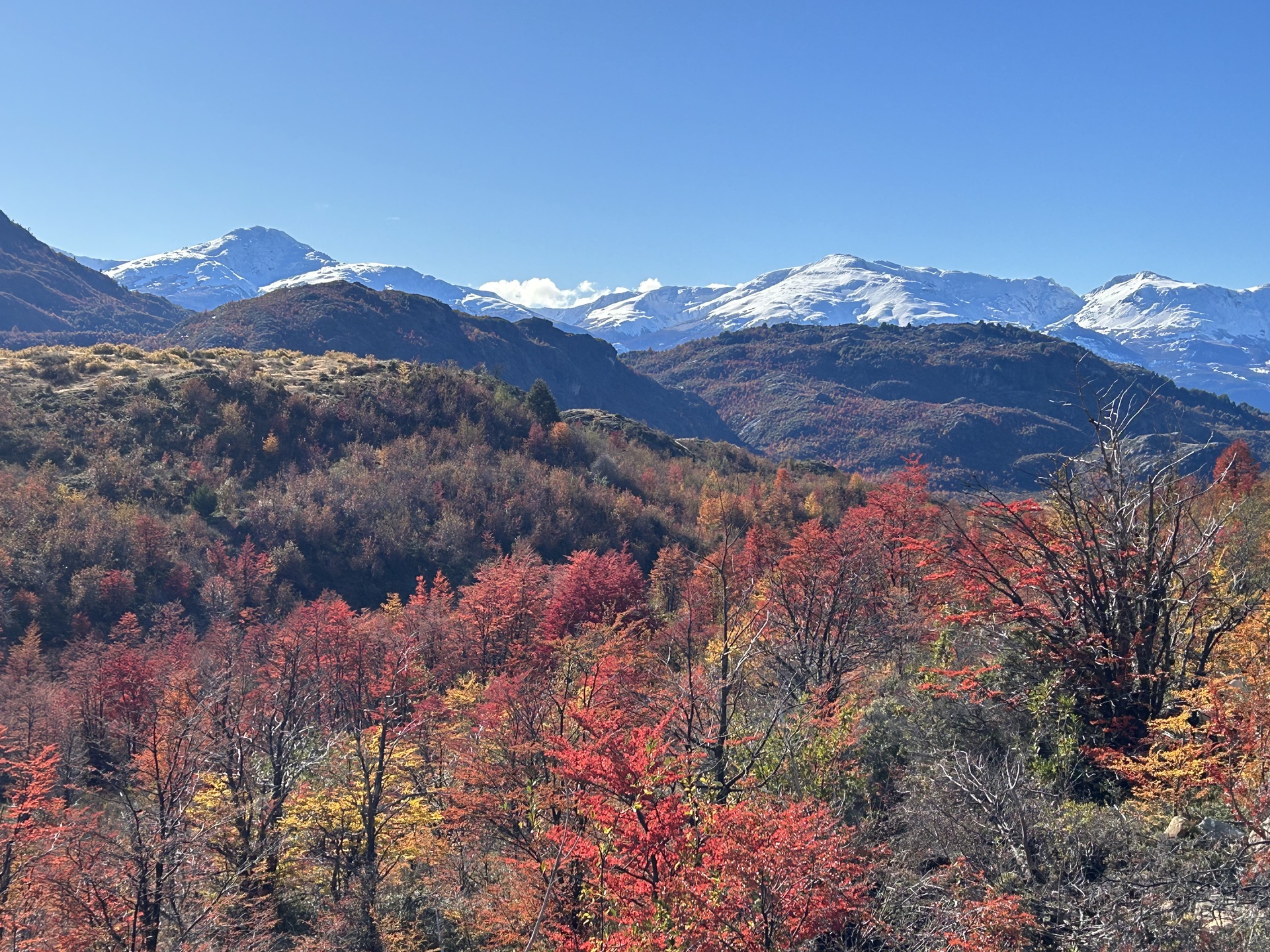 Patagonia colores de otoño