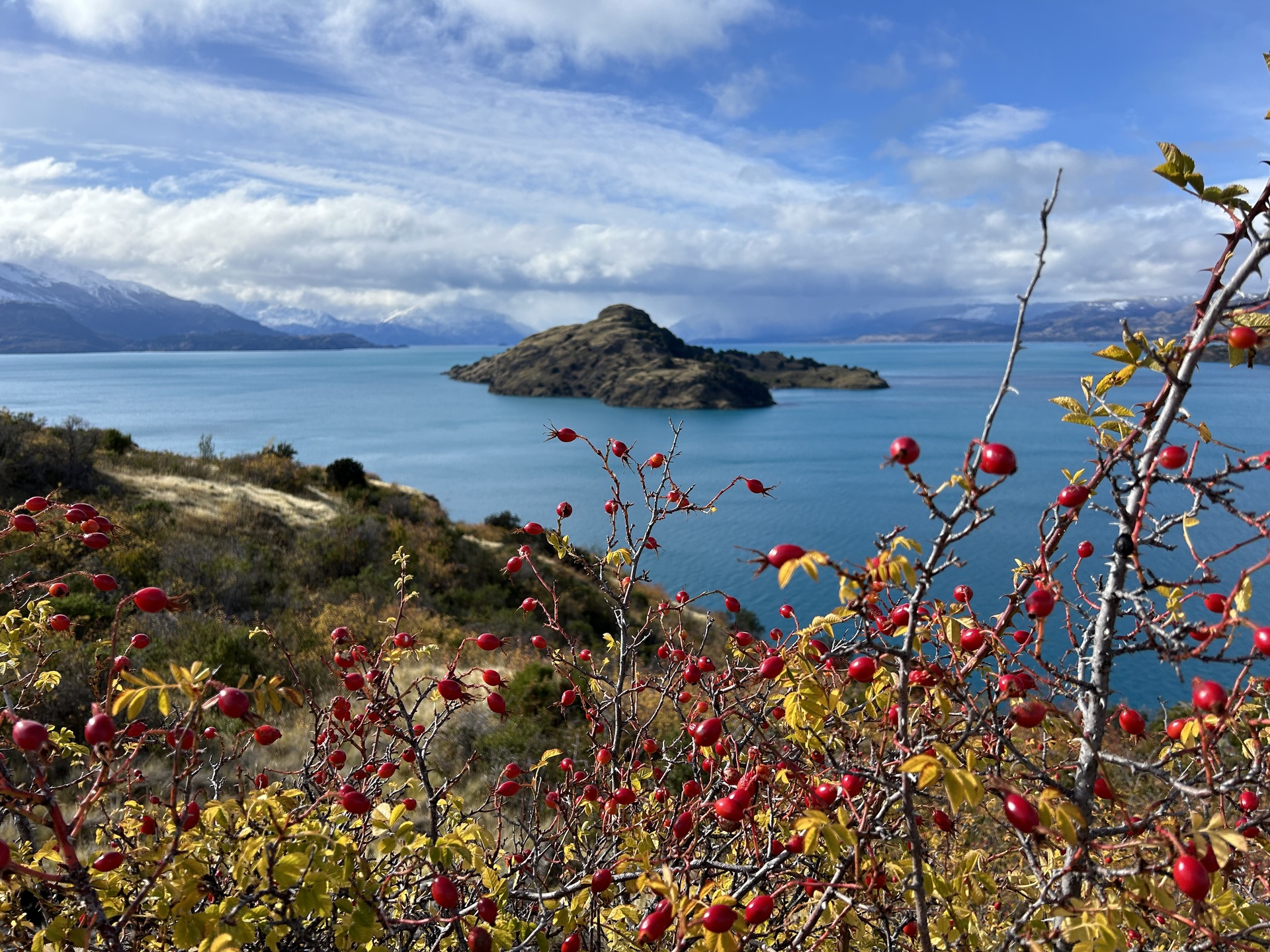 Patagonia isla