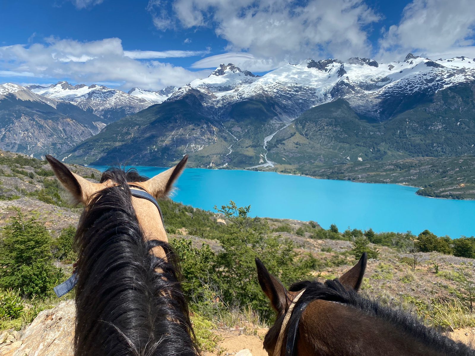 Patagonia cabalgata